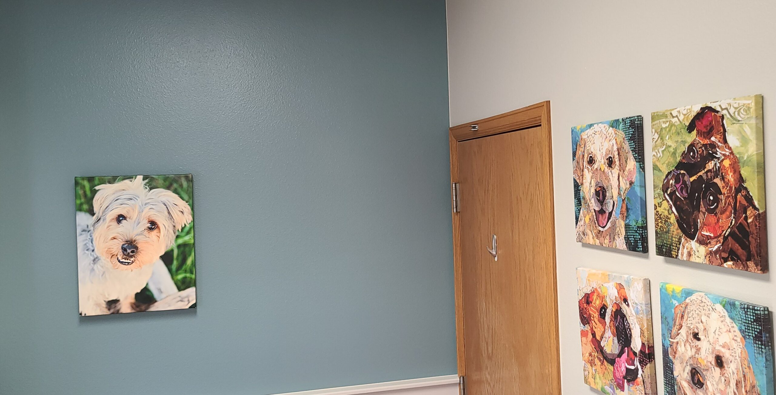 Colors of inside of clinic